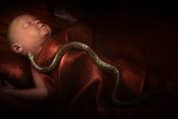 crusader kings