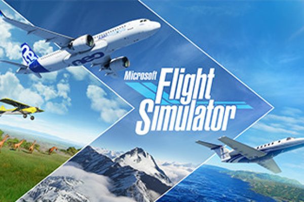Microsoft flight simulator
